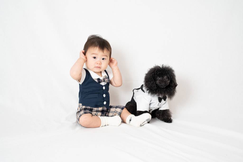 赤ちゃんの男の子と小型犬が写っている写真